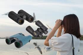 Best binoculars 2022 for birdwatching and nature hikes 